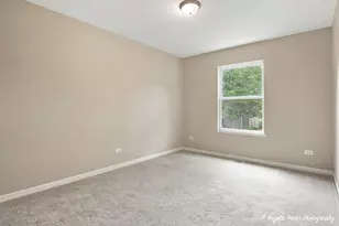 26 Arbordale Ct, Algonquin, IL 60102 - Photo 28