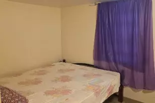 3341 S Hamilton Ave, Chicago, IL 60608 - Photo 12
