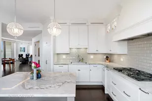 55 E Erie St, Chicago, IL 60611 - Photo 16