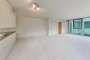 3115 S Michigan Ave, Chicago, IL 60616 - Photo 8