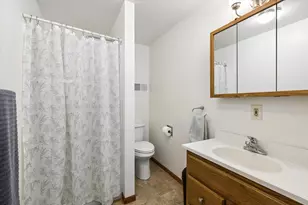 1118 10th Ave, Fulton, IL 61252 - Photo 32