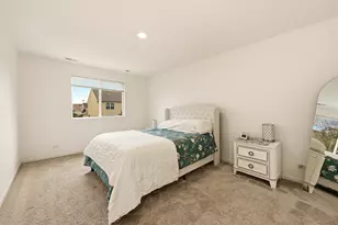 8646 Foxborough Way, Joliet, IL 60431 - Photo 18