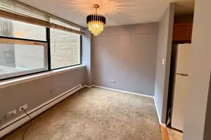 3110 N Sheridan Rd, Chicago, IL 60657 - Photo 4