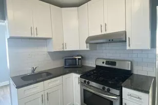 4812 S Elizabeth St, Chicago, IL 60609 - Photo 30