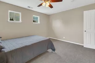 16332 Spring Creek Ln, Plainfield, IL 60586 - Photo 46