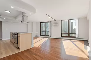 6166 N Sheridan Rd, Chicago, IL 60660 - Photo 2