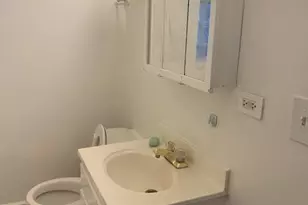127 E 59th St, Chicago, IL 60637 - Photo 20