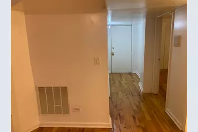 127 E 59th Street #1, Chicago, IL 60637 - Photo 6