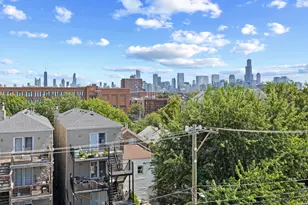 919 N Hermitage Ave, Chicago, IL 60622 - Photo 18