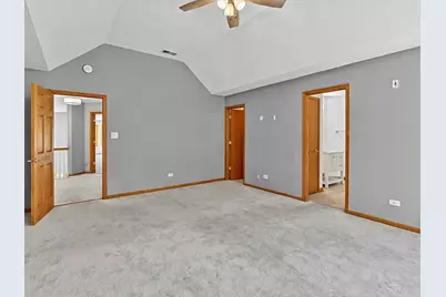 872 Rosedale Terrace, Crete, IL 60417 - Photo 48