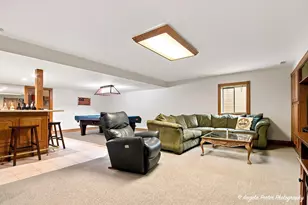 1823 Charnbrook Dr, Johnsburg, IL 60051 - Photo 48