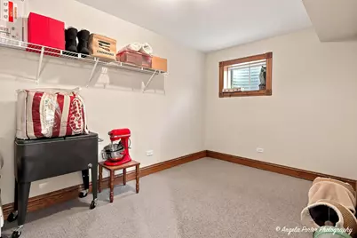 1823 Charnbrook Drive, Johnsburg, IL 60051 - Photo 54