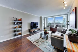 512 N McClurg Ct, Chicago, IL 60611 - Photo 6