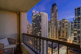 1030 N State St, Chicago, IL 60610 - Photo 20