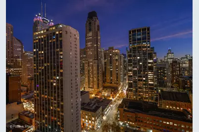 1030 N State Street #29J, Chicago, IL 60610 - Photo 22