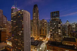 1030 N State St, Chicago, IL 60610 - Photo 22