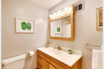 3827 White Cloud Drive, Skokie, IL 60076 - Photo 32