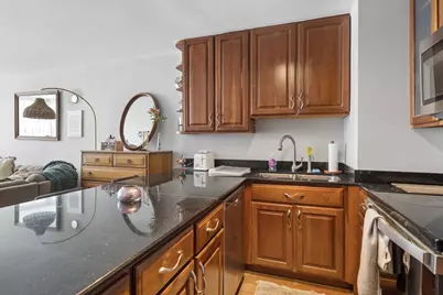 21 W Goethe Street #8H, Chicago, IL 60610 - Photo 10