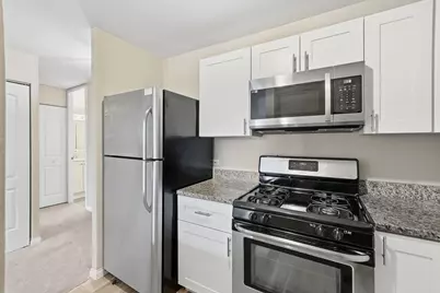 3001 S Michigan Avenue #809, Chicago, IL 60616 - Photo 10