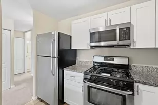 3001 S Michigan Ave, Chicago, IL 60616 - Photo 10