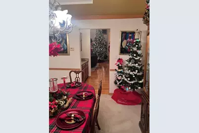 21372 Brittany Drive, Frankfort, IL 60423 - Photo 16