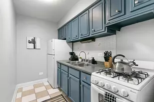 541 W Oakdale Ave, Chicago, IL 60657 - Photo 2