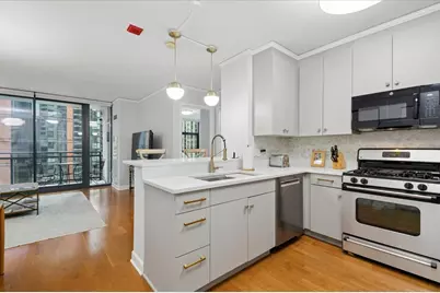 201 N Westshore Drive #2006, Chicago, IL 60601 - Photo 2