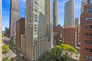 40 E Delaware Pl, Chicago, IL 60611 - Photo 20