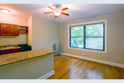 5326 S Cornell Avenue #210, Chicago, IL 60615 - Photo 4