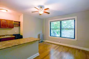 5326 S Cornell Ave, Chicago, IL 60615 - Photo 4