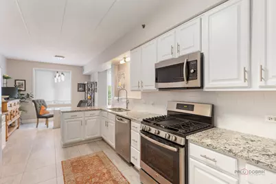1705 Pavilion Way #407, Park Ridge, IL 60068 - Photo 18