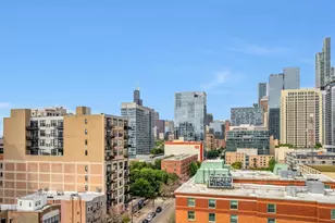 50 E 16th St, Chicago, IL 60616 - Photo 10