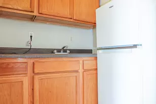 5419 S Harper Ave, Chicago, IL 60615 - Photo 2