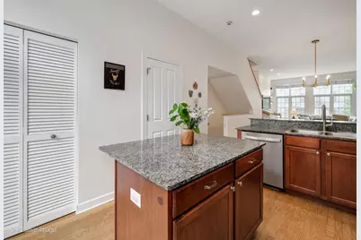 867 N May Street, Chicago, IL 60642 - Photo 8