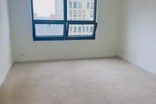 401 E Ontario St, Chicago, IL 60611 - Photo 6