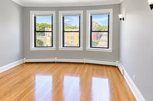 911 E 85th St, Chicago, IL 60619 - Photo 2