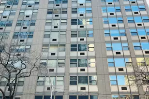 253 E Delaware Pl, Chicago, IL 60611 - Photo 1