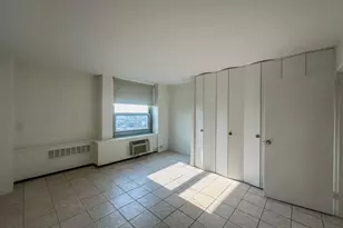 1255 N Sandburg Terrace, Chicago, IL 60610 - Photo 8