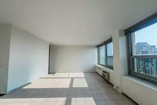 1255 N Sandburg Terrace, Chicago, IL 60610 - Photo 16