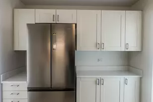 1255 N Sandburg Terrace, Chicago, IL 60610 - Photo 6
