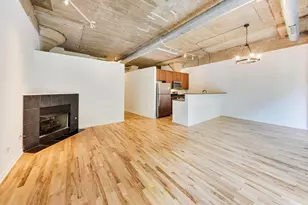 1070 W 15th St, Chicago, IL 60608 - Photo 6