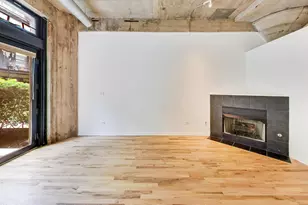 1070 W 15th St, Chicago, IL 60608 - Photo 8