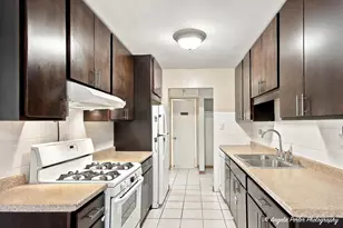 8970 N Parkside Ave, Des Plaines, IL 60016 - Photo 6