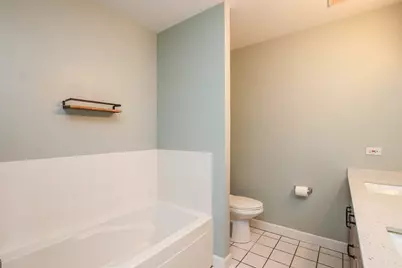 41 E 8th Street #1403, Chicago, IL 60605 - Photo 14