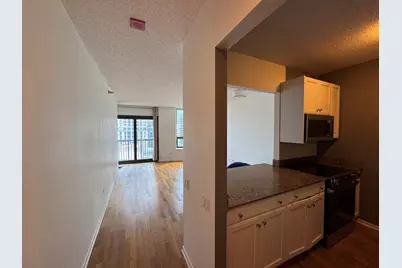 400 N Lasalle Drive #1303, Chicago, IL 60654 - Photo 12