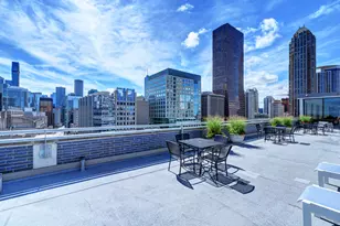 222 E Pearson St, Chicago, IL 60611 - Photo 8