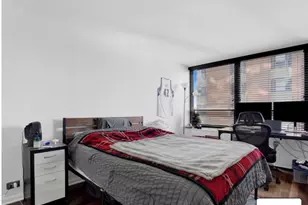 222 E Pearson St, Chicago, IL 60611 - Photo 24
