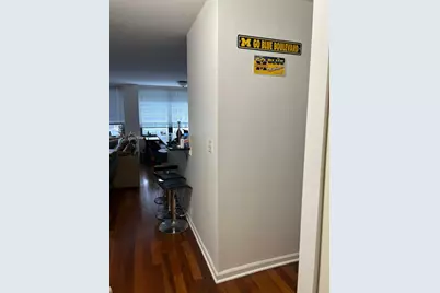 222 E Pearson Street #2604, Chicago, IL 60611 - Photo 20