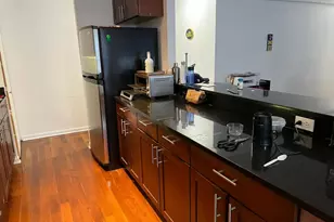 222 E Pearson St, Chicago, IL 60611 - Photo 12