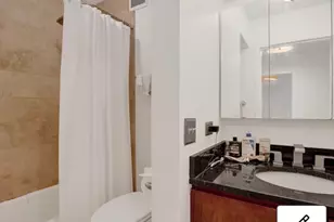 222 E Pearson St, Chicago, IL 60611 - Photo 22